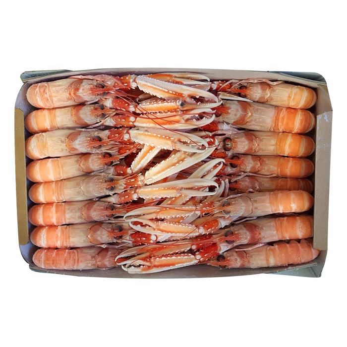 SCAMPI 30/40 700 GR PESO SGOCCIOLATO
