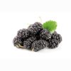GELSI NERI SURGELATI ETNA 2,5 KG 2 PEZZI