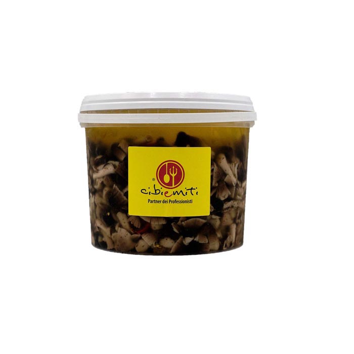 FUNGHI MUSCHIO SECCHIO DA 5,3 KG C.M.