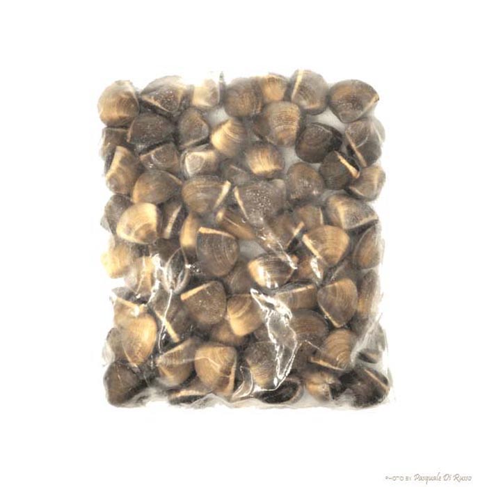 VONGOLE CON GUSCIO