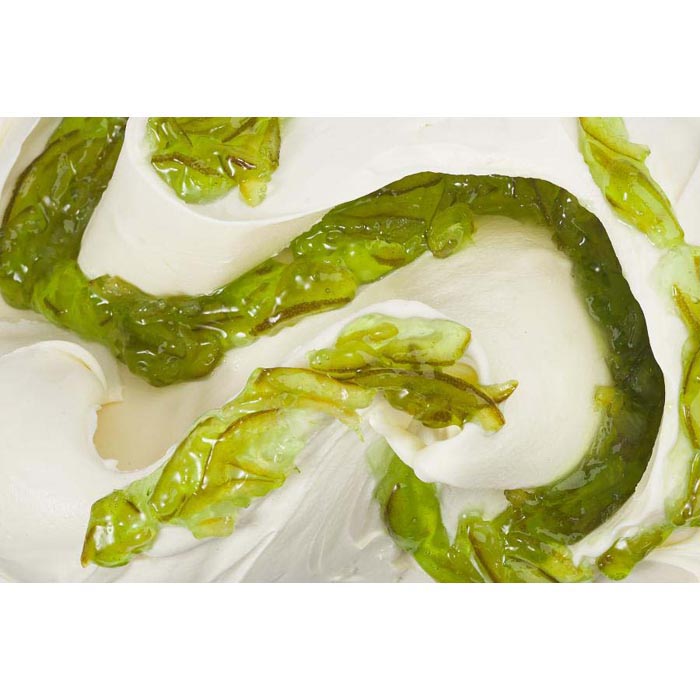VARIEGATO QUATTROSTAGIONI LIME 3 KG STELLA
